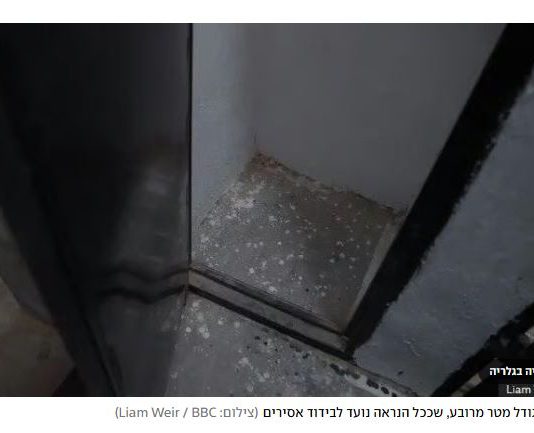 « J’ai vu les cicatrices de la torture » : une plongée rare dans les prisons secrètes des Émirats arabes unis au Yémen