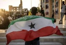 Un responsable du Somaliland : « Israël a le droit d’être présent en mer Rouge, une base militaire est possible »