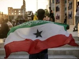 Un responsable du Somaliland : « Israël a le droit d’être présent en mer Rouge, une base militaire est possible »