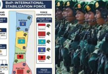 Gaza : un projet de force internationale diviserait la bande en cinq secteurs