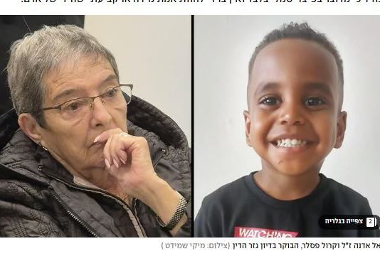 Un an de prison pour la conductrice de 82 ans reconnue coupable d’abandon après la mort du petit Rafael Adana