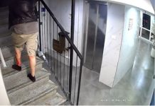 Il promenait son chien dans un jardin public à Ashdod — il en est sorti avec le crâne fracturé