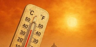« Dôme de chaleur » meurtrier et record historique en Europe : « Un mini-enfer »