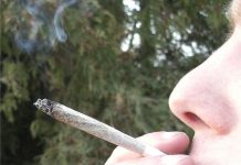 « Les pharmaciens sont devenus des dealers » : la vive critique contre l’utilisation du cannabis comme médicament