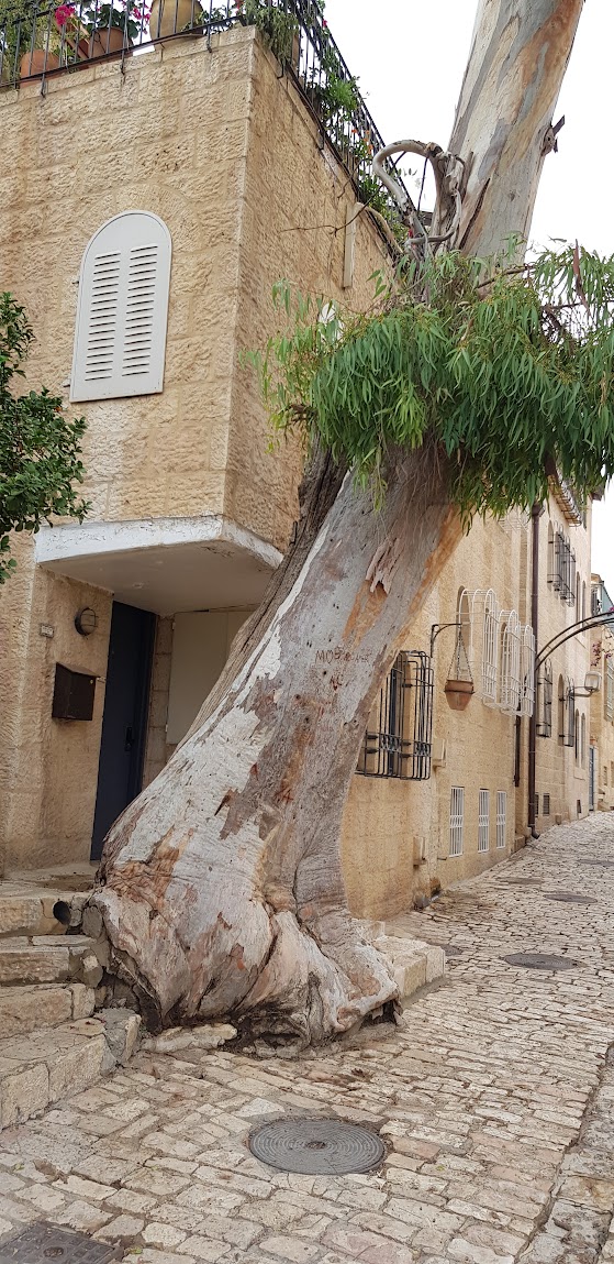 Le marché du luxe à Jérusalem : entre tradition et innovation 2 jeru saby 9