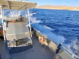 Spectacle au large d’Eilat : « Des dizaines de dauphins se sont approchés de notre itinéraire de croisière »