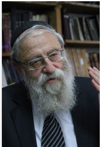 rav arye stern zal wiki