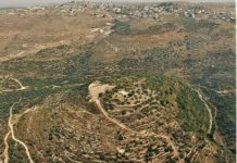 La tactique est dévoilée : comment l’AP s’empare des terres et détruit les antiquités d’un village talmudique en Samarie