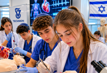 À la place de la piscine — dissection d’un cœur de cochon : voici comment les enfants de médecins et d’infirmières passent les grandes vacances
