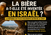 La bière a-t-elle été inventée en Israël ? La réponse est plus fascinante qu’on ne le croit 🍺