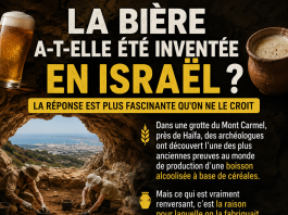 La bière a-t-elle été inventée en Israël ? La réponse est plus fascinante qu’on ne le croit 🍺