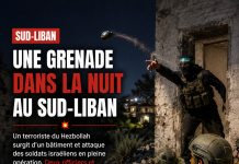 Un terroriste du Hezbollah sort d’un bâtiment et lance une grenade — 2 officiers et 2 combattants blessés