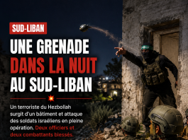 Un terroriste du Hezbollah sort d’un bâtiment et lance une grenade — 2 officiers et 2 combattants blessés