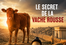 Le secret de la Vache Rousse dévoilé