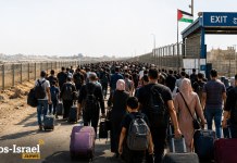 Les chiffres depuis Gaza : un mouvement d’Ă©migration sans prĂ©cĂ©dent
