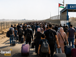 Les chiffres depuis Gaza : un mouvement d’émigration sans précédent