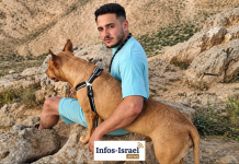 Un jeune homme de Tel Aviv envoie un message à sa compagne : « il y a le bazar ici » — et depuis, plus aucune trace