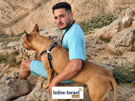 Un jeune homme de Tel Aviv envoie un message à sa compagne : « il y a le bazar ici » — et depuis, plus aucune trace