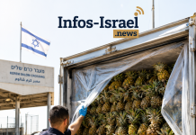 Les inspecteurs ont arrĂŞtĂ© un camion d’ananas Ă l’entrĂ©e de Gaza — voici ce qu’ils ont dĂ©couvert Ă l’intĂ©rieur