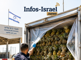 Les inspecteurs ont arrêté un camion d’ananas à l’entrée de Gaza — voici ce qu’ils ont découvert à l’intérieur