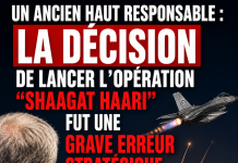 Un ancien haut responsable : « La dĂ©cision de lancer l’opĂ©ration ‘Shaagat HaAri’ fut une grave erreur stratĂ©gique »