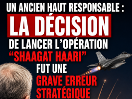 Un ancien haut responsable : « La décision de lancer l’opération ‘Shaagat HaAri’ fut une grave erreur stratégique »
