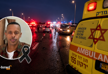 Double tragédie sur la route 4 : ils s’étaient arrêtés pour porter secours à un blessé — et Daniel a été tué