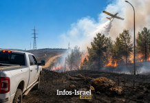 L’incendie en Samarie : la cause de l’incendie semble se prĂ©ciser