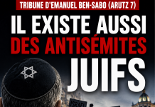 Tribune d’Emanuel Ben-Sabo (Arutz 7) : Il existe aussi des antisĂ©mites juifs