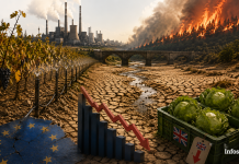 Les fleuves se sont asséchés, les récoltes ont été touchées et les usines mises à l’arrêt : l’été qui a secoué l’économie européenne