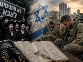 « C’est la Torah qui protège Israël » : mais qui protège ceux qui défendent le pays ? – Sabrina Hania