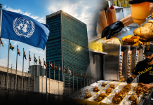 EXCUSEZ-VOUS ! Israël exige des réponses de l’ONU après de nouvelles données sur la malnutrition à Gaza