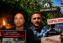 « L’affaire du zoo de Koh Samui : la Thaïlande envisage d’expulser le couple français-thaïlandais et l’Israélien