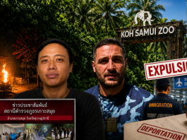 « L’affaire du zoo de Koh Samui : la Thaïlande envisage d’expulser le couple français-thaïlandais et l’Israélien