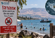 Deux ans après la mort de deux personnes : un enfant de neuf ans dans un état grave à Rambam après avoir nagé dans le lac de Tibériade, à cause d’une « amibe mangeuse de cerveau »
