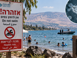 Deux ans après la mort de deux personnes : un enfant de neuf ans dans un état grave à Rambam après avoir nagé dans le lac de Tibériade, à cause d’une « amibe mangeuse de cerveau »