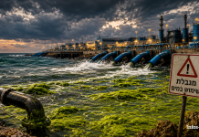 URGENCE : Une rare prolifération d’algues venue d’Égypte paralyse cinq des six principales usines de dessalement d’Israël, provoquant coupures d’eau et restrictions d’urgence